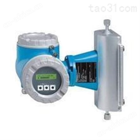 Endress Hauser流量变送器介绍