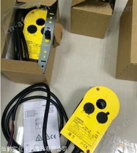 SAUTER温度控制器
