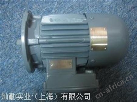 EMOD防爆电机转子