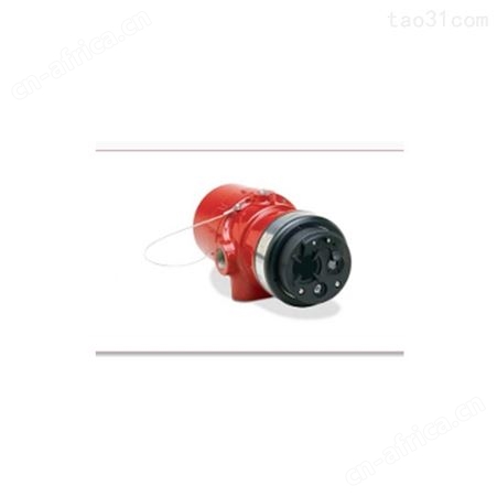 德国Det-TronicsX3301多光谱红外（IR）火焰探测器