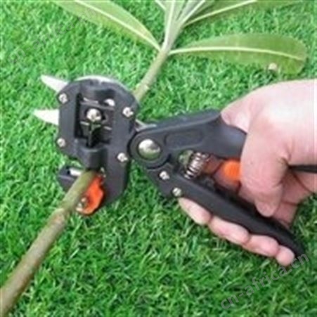 汇之鑫多功能嫁接工具 接果树嫁接剪厂家