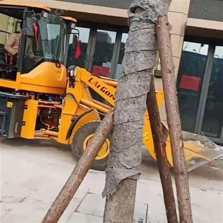 义乌开门洞开门窗铲墙皮 义乌敲墙拆墙砸墙 拆墙砸地砖砸墙
