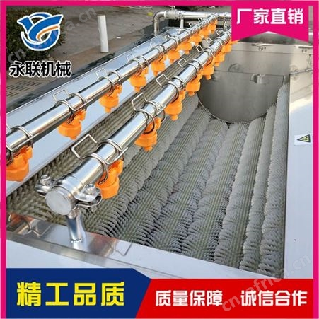 白萝卜毛辊清洗机哪家好 永联 刺参毛辊清洗机哪里有