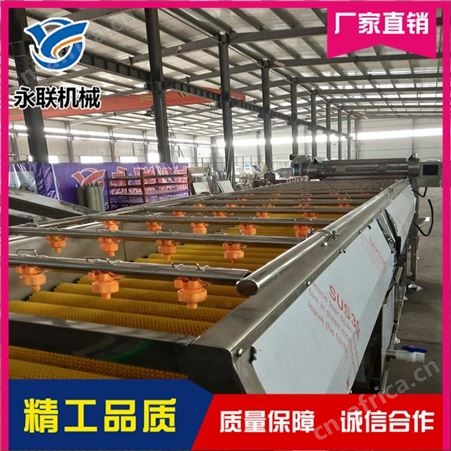海螺毛刷清洗机直销 永联 土豆毛刷清洗机 全自动毛刷清洗机