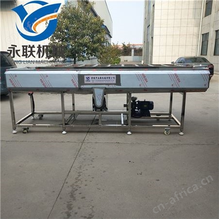 全自动商用平行毛辊清洗机 冬枣高压水喷淋毛刷清洗机