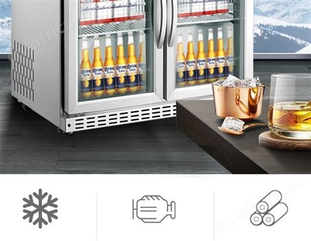 啤酒柜冷藏柜小型立式酒吧吧台柜商用冰柜门饮料展示柜