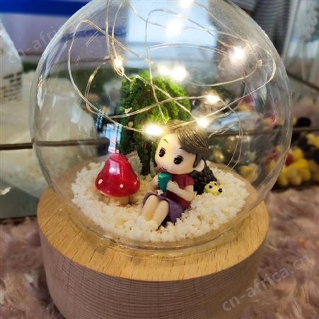 武汉水晶球音乐盒DIY 汉阳水晶球音乐盒DIY 武昌水晶球音乐盒DIY 楼盘水晶球音乐盒DIY 团队