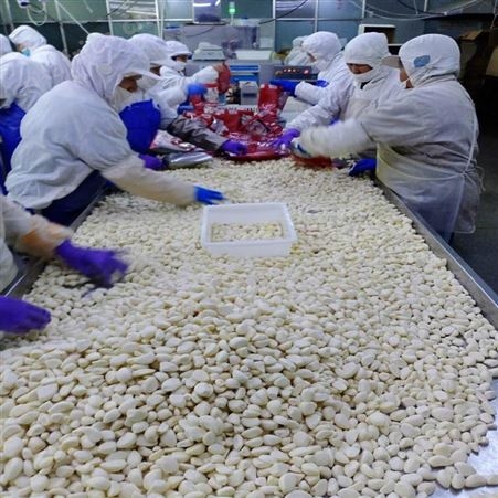 绿拓食品优质速冻蒜泥米丁加工 冷冻果蔬成品出售