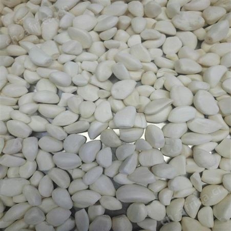 绿拓专业技术冷藏大蒜瓣 酒店餐厅即用蒜干净卫生