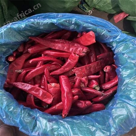 绿拓食品常年供应干辣椒 调味爆锅香料红辣椒味道好