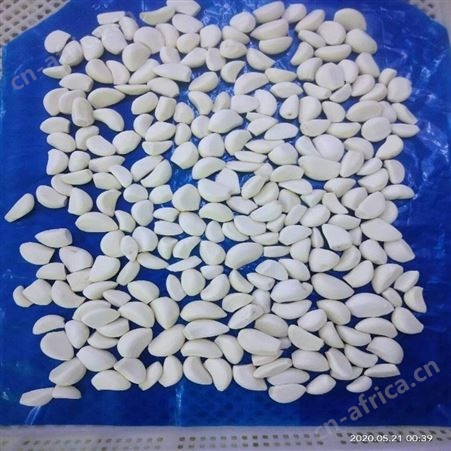 绿拓专业技术冷藏大蒜瓣 酒店餐厅即用蒜干净卫生