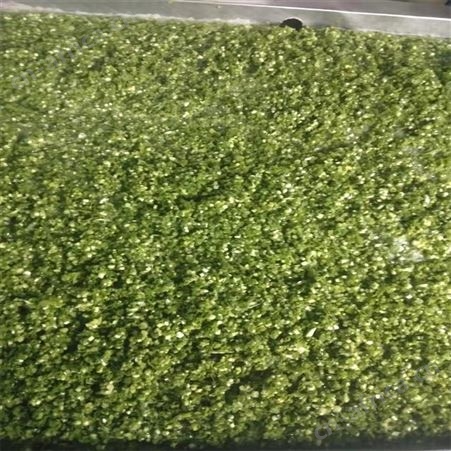 绿拓食品调料用速冻香葱段成品葱圈批量出售