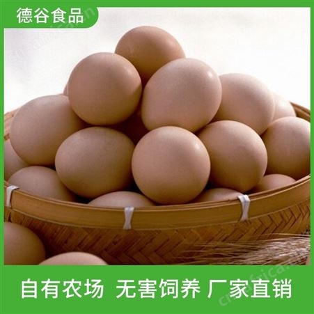 虫草鸡蛋经销商_德谷食品_散养草鸡蛋_节日礼盒装