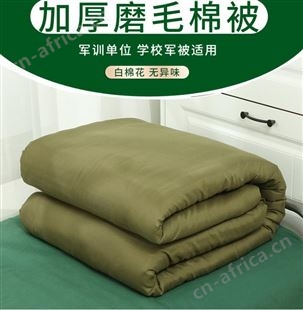 棉花被褥子棉被保暖棉花冬被3斤6斤垫被棉胎被芯