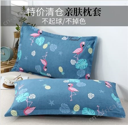 枕头套纯棉 一对加厚单人枕套 全棉夹棉枕芯套 卡通48x74cm 学生宿舍三件套
