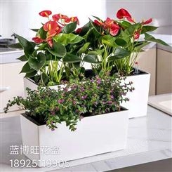 不锈钢花盆容器 酒店餐厅门口种植花箱 厂家设计定做全国发货