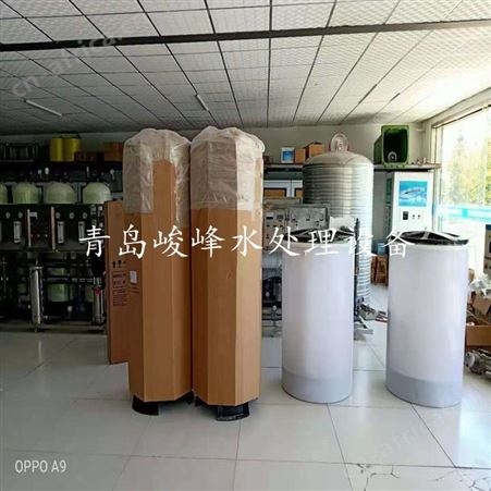 原水地下水过滤设备 不同水质不同型号 防生锈循环泳池水处理设备