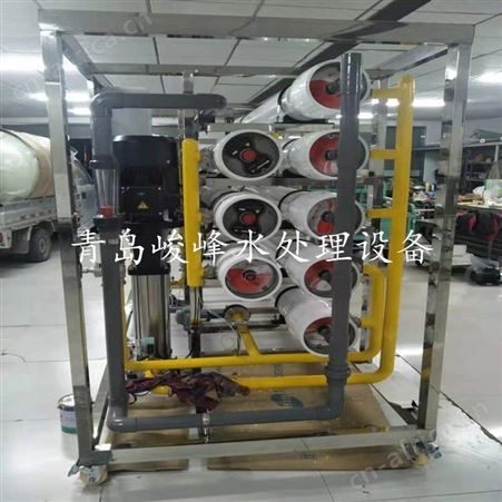 商用RO膜过滤反渗透设备 新建高层小区分区无负压供水 峻峰维护