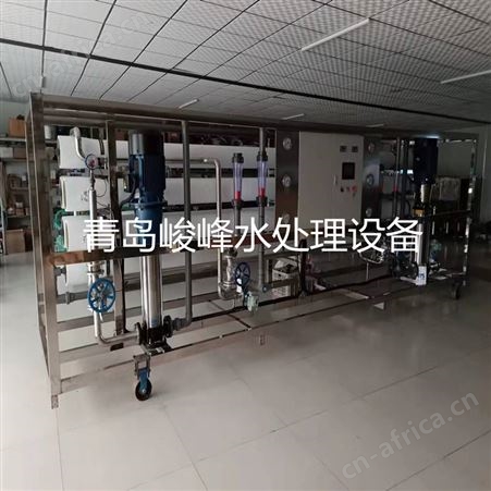 定制食品厂酿酒厂10T二级过滤反渗透设备 脱盐除盐纯物理过滤