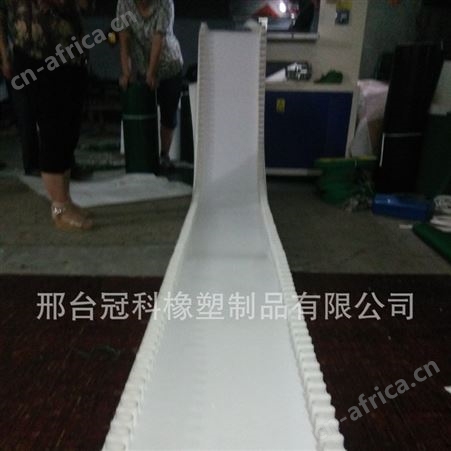食品机械 输送带pvc白色输送带