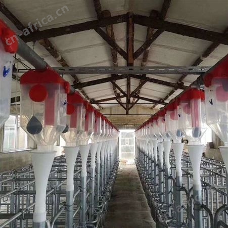 养猪场料线 猪舍全自动料线 养殖场自动上料设备 选华清