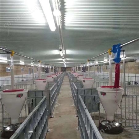 供应 养猪场自动化料线 养殖绞龙料线 干湿喂料器 华清