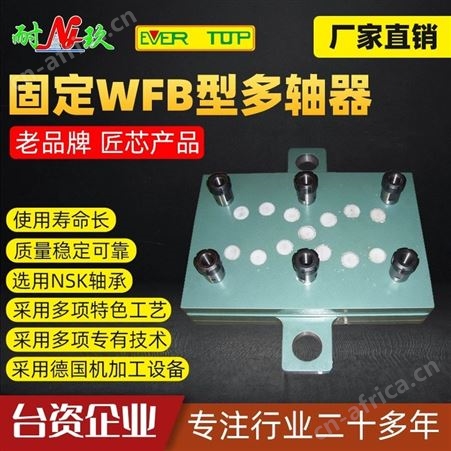 WFB型重切削固定 多轴器 多轴 电动钻孔器 动力头 耐玖机械供应