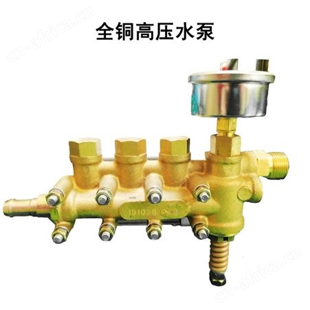 黑猫 ECC2516/ECC2011 清洗机 电动汽油机  高压力商用洗车机