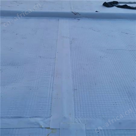 车库顶板虹吸排水系统 高分子排水异型片自粘土工布