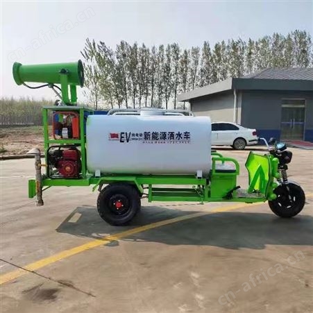 高炮式大容量 小型电动三轮洒水车 多功能消毒防疫雾炮车