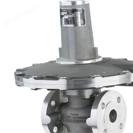 Ringspann 6401.0003 RBA 315 x 110德国进口传感器