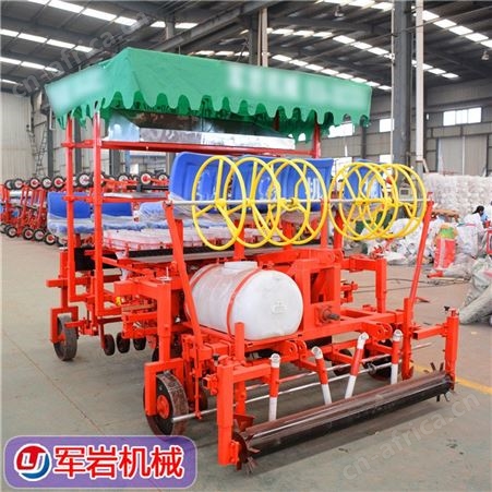 洋葱移栽机 圆葱插秧机视频 河南洋葱移栽机代理 洋葱种植机视频教程 厂家订做