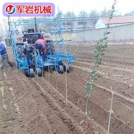 军岩机械2020新款 树苗种植机 苗木种植机 冬青种植机 苗木移栽机