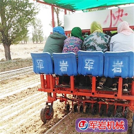 蔬菜辣椒移栽机 军岩 万寿菊栽苗机 甜菜种植机 大量批发