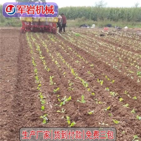 头辣椒移植机_军岩_辣椒蔬菜移栽机种植机_品牌商直销