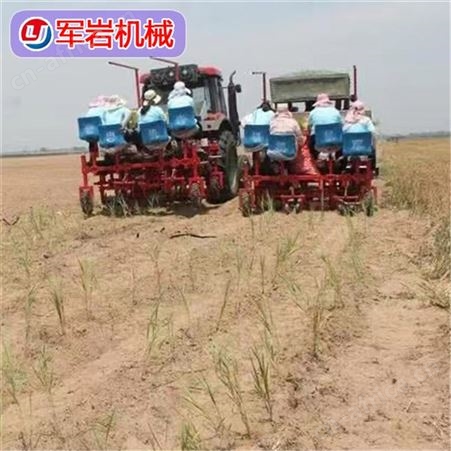 娃娃菜种植机 辣椒移栽机 甘蓝移栽机 操作方便 规格型号