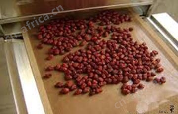 HYWB-27SD枣片烘干设备-烟台皓阳微波