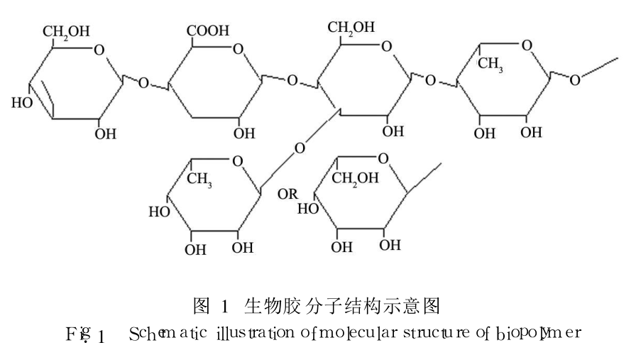 -813190055.png -813190055.png